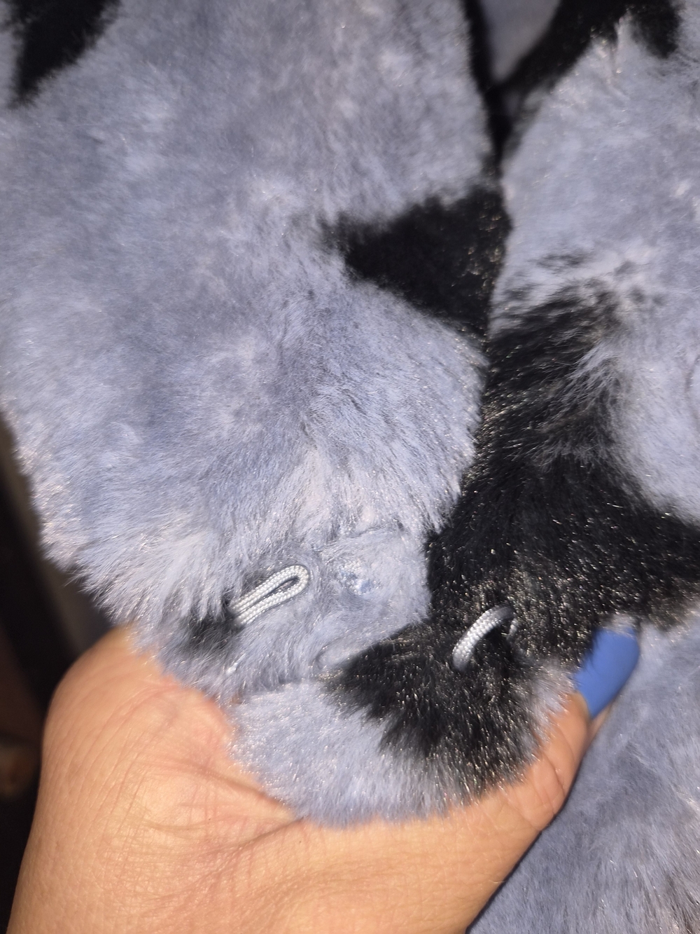 NVLT Light Blue Faux Fur Peacoat with Black Star Print - Picture 6 of 14